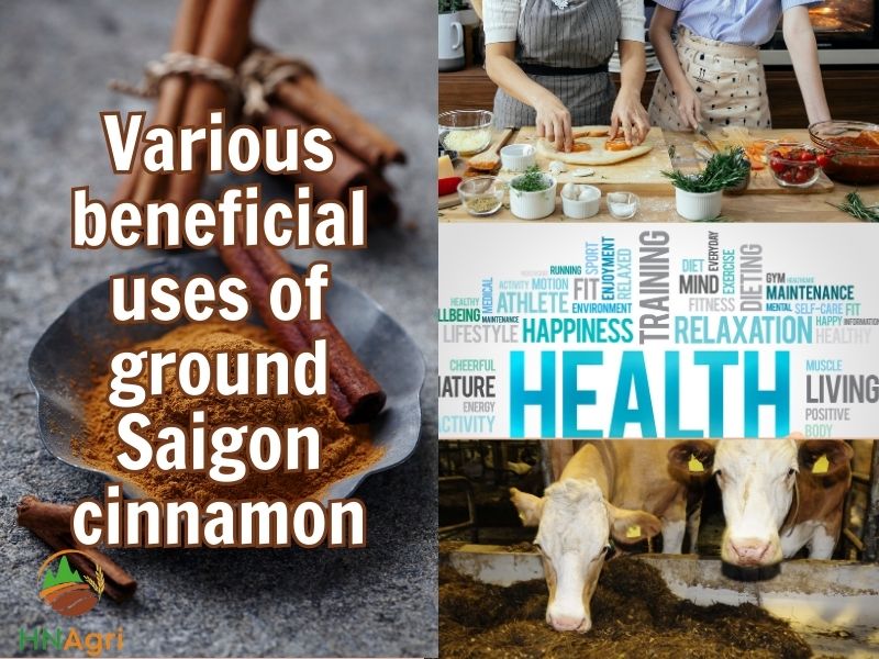 the-developed-potentials-of-ground-saigon-cinnamon-3