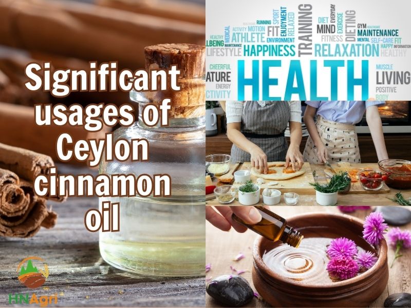 exploring-the-profits-and-revenues-of-ceylon-cinnamon-oil-3