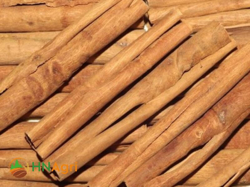 vietnamese-cinnamon-tube-3-vct3-3