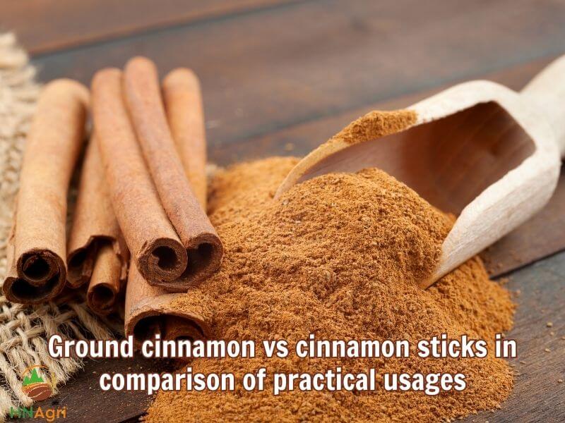 ground-cinnamon-vs-cinnamon-sticks-which-is-the-superior-option-4