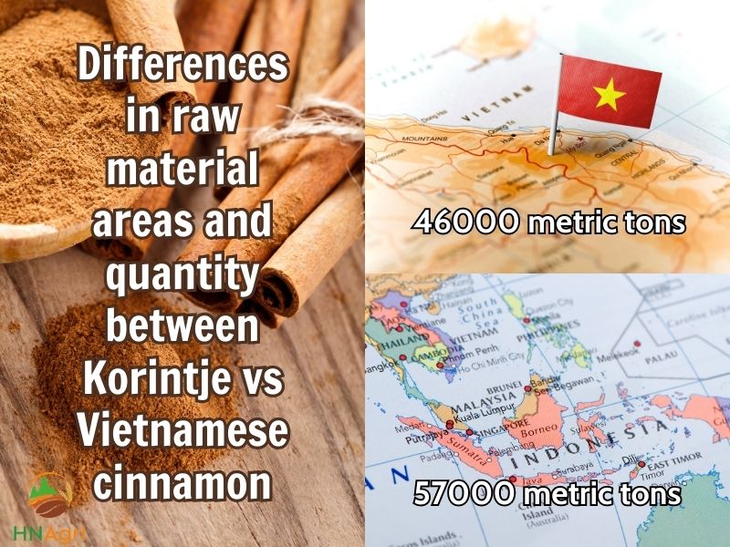 which-to-choose-between-korintje-vs-vietnamese-cinnamon-4