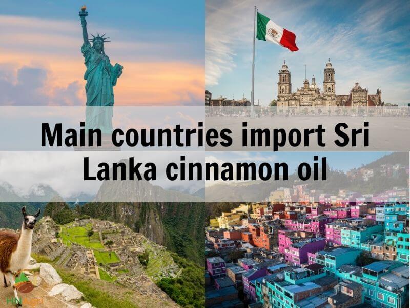 all-about-prestigious-cinnamon-oil-suppliers-in-sri-lanka-4
