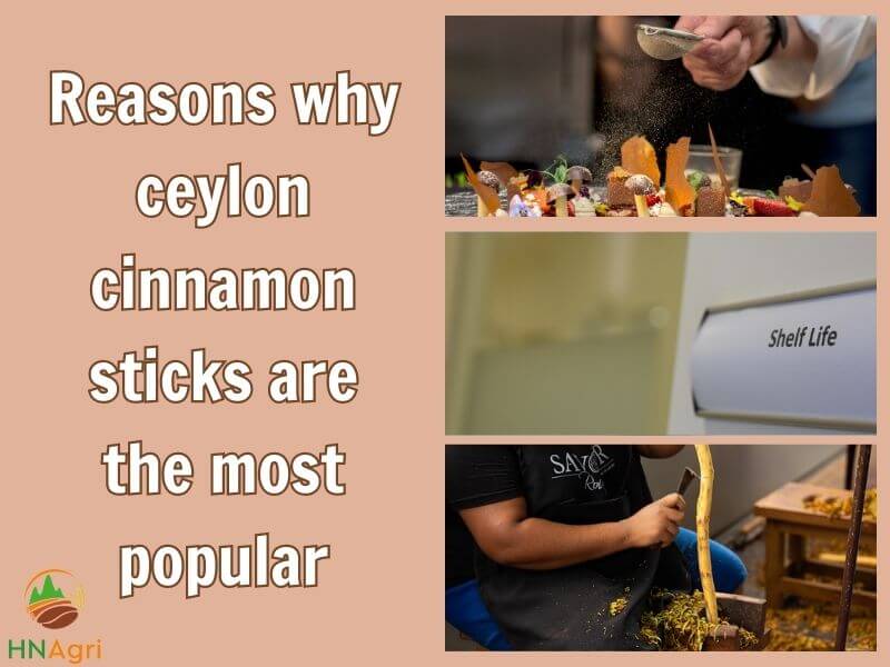the-extensive-attributes-of-ceylon-cinnamon-sticks-4