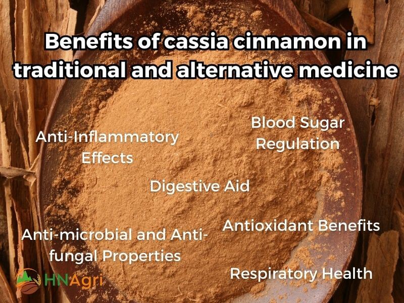 top-5-benefits-of-cassia-cinnamon-wholesalers-need-to-know-5