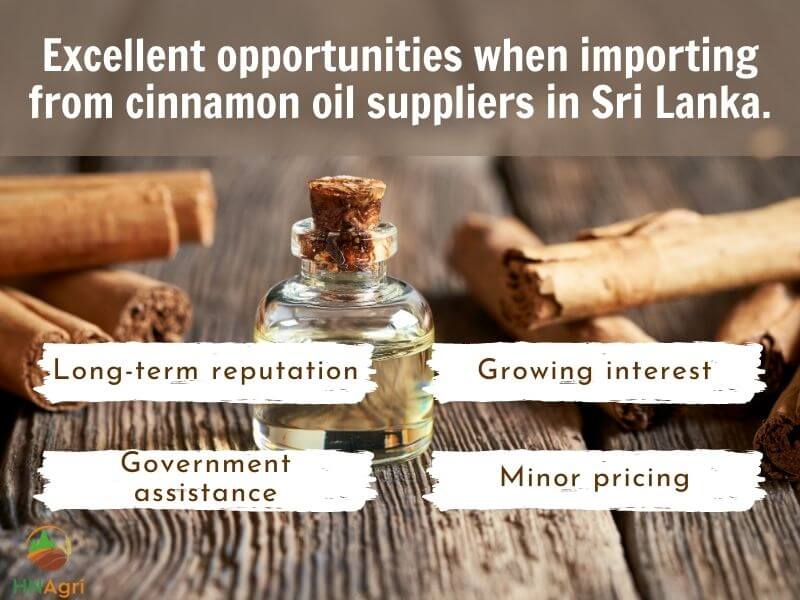 all-about-prestigious-cinnamon-oil-suppliers-in-sri-lanka-5