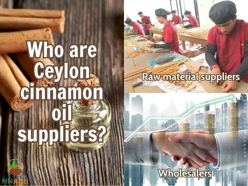 exploring-the-profits-and-revenues-of-ceylon-cinnamon-oil-6