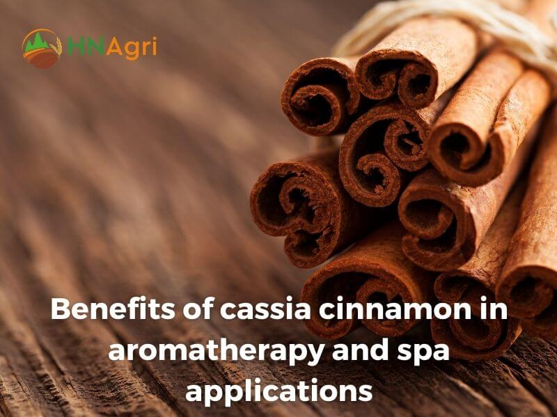 top-5-benefits-of-cassia-cinnamon-wholesalers-need-to-know-6