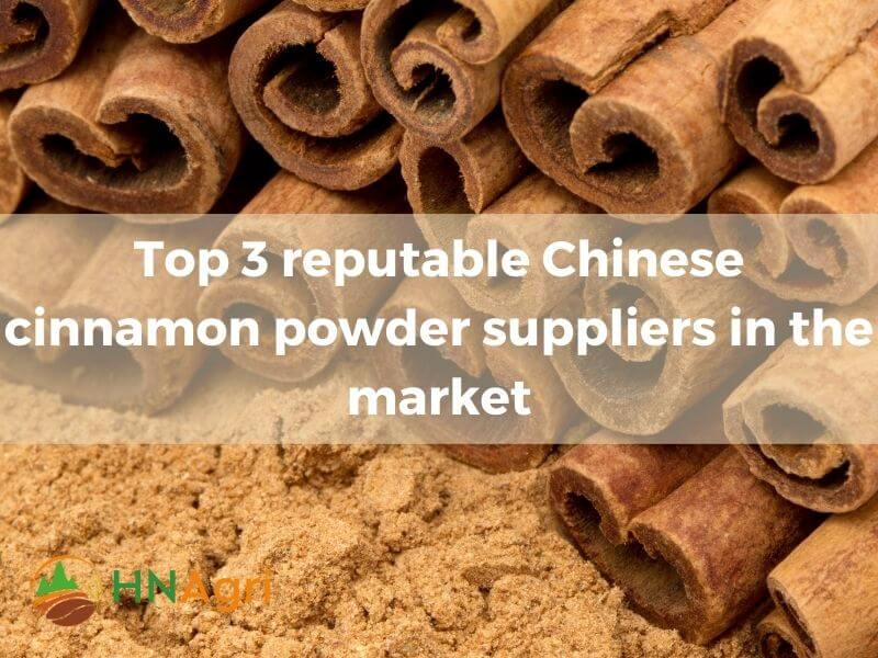 chinese-cinnamon-powder-wholesale-opportunities-and-benefits-6