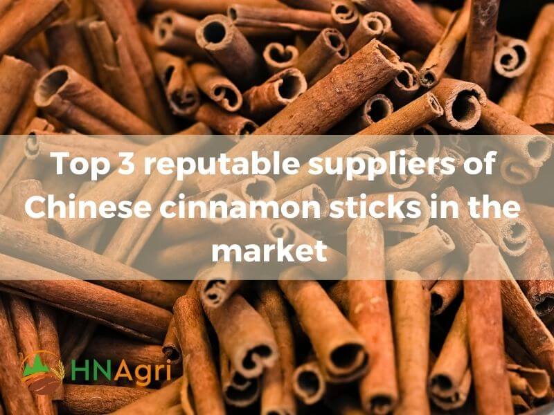 chinese-cinnamon-sticks-a-guide-for-wholesaler-to-source-and-sell-6