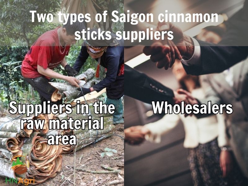 the-potential-capabilities-of-saigon-cinnamon-sticks-7