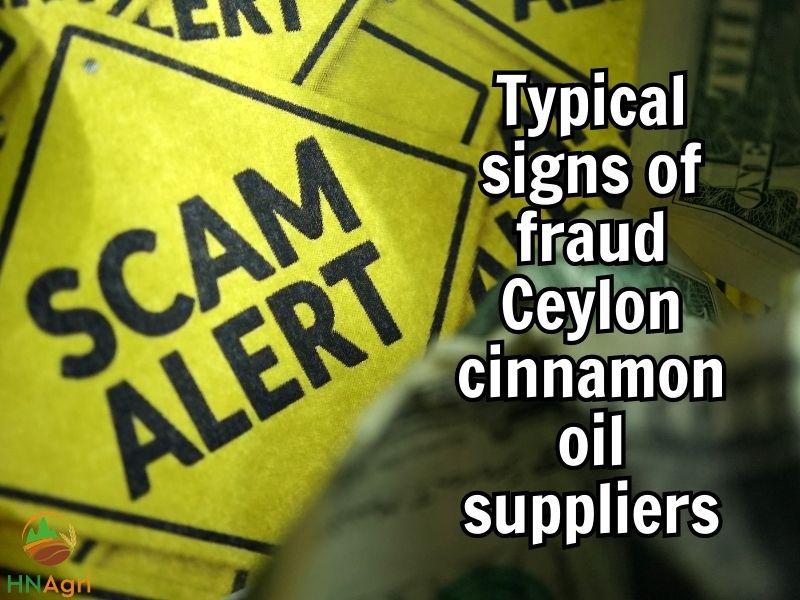 exploring-the-profits-and-revenues-of-ceylon-cinnamon-oil-7