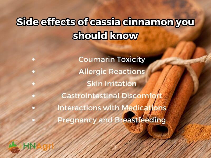 top-5-benefits-of-cassia-cinnamon-wholesalers-need-to-know-8
