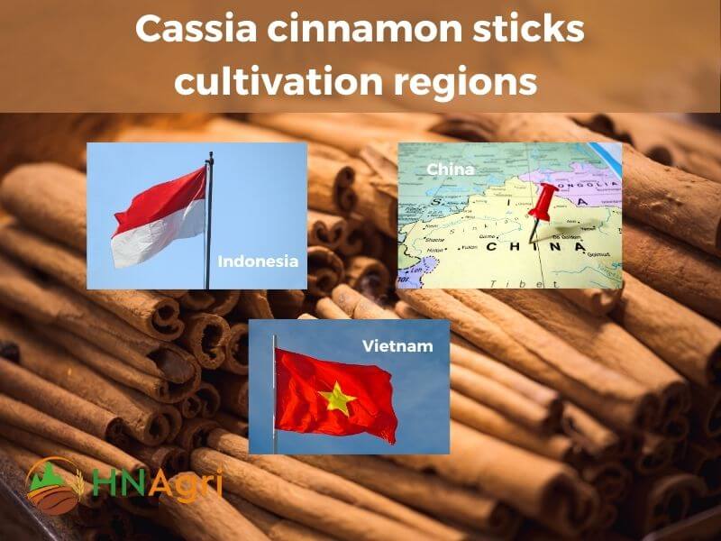 cassia-cinnamon-sticks-your-wholesale-spice-solution-for-superior-quality-4