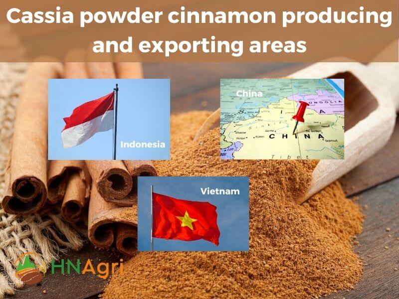unveiling-cassia-powder-the-potential-you-should-know-4