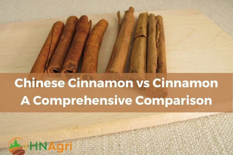 chinese-cinnamon-vs-cinnamon-a-comprehensive-comparison-1