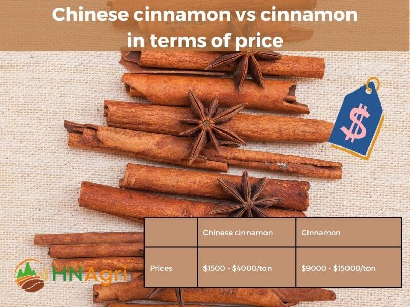 chinese-cinnamon-vs-cinnamon-a-comprehensive-comparison-6