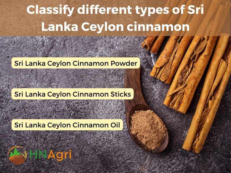 sri-lanka-ceylon-cinnamon-sourcing-the-finest-spice-5