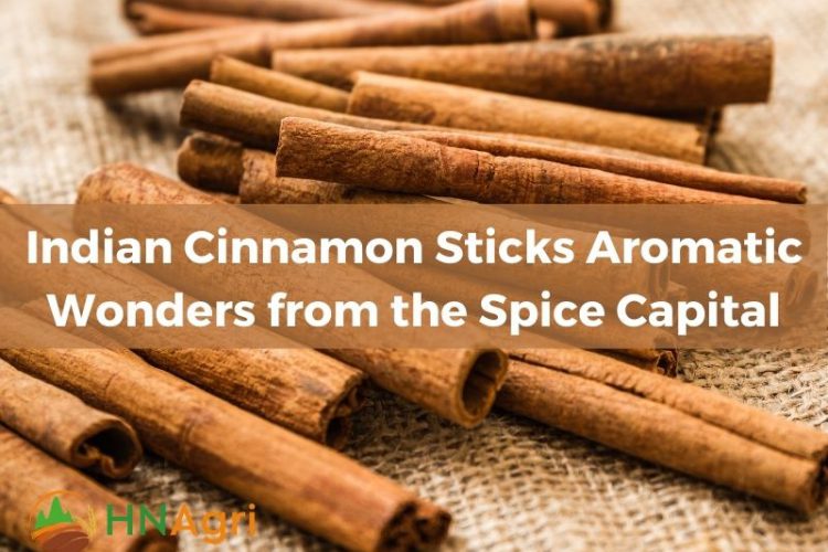 indian-cinnamon-sticks-aromatic-wonders-from-the-spice-capital-1