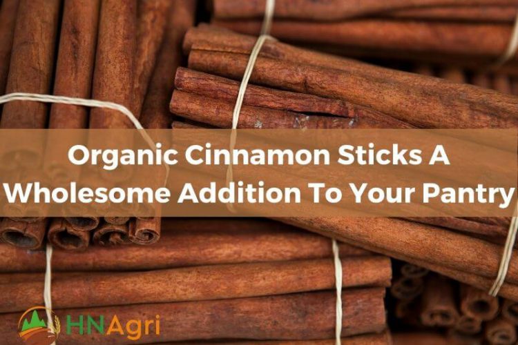 organic-cinnamon-sticks-a-wholesome-addition-to-your-pantry-1