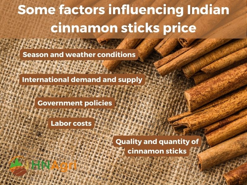 indian-cinnamon-sticks-aromatic-wonders-from-the-spice-capital-6