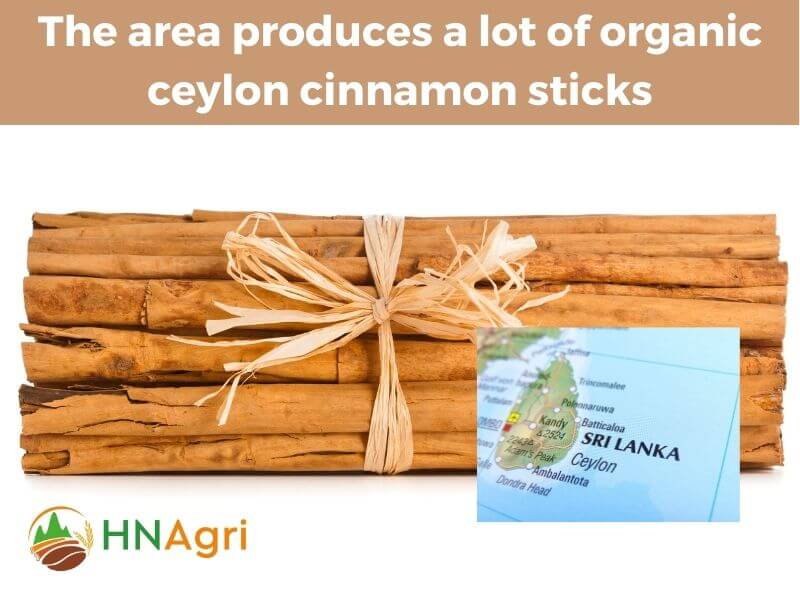 organic-cinnamon-sticks-a-wholesome-addition-to-your-pantry-5