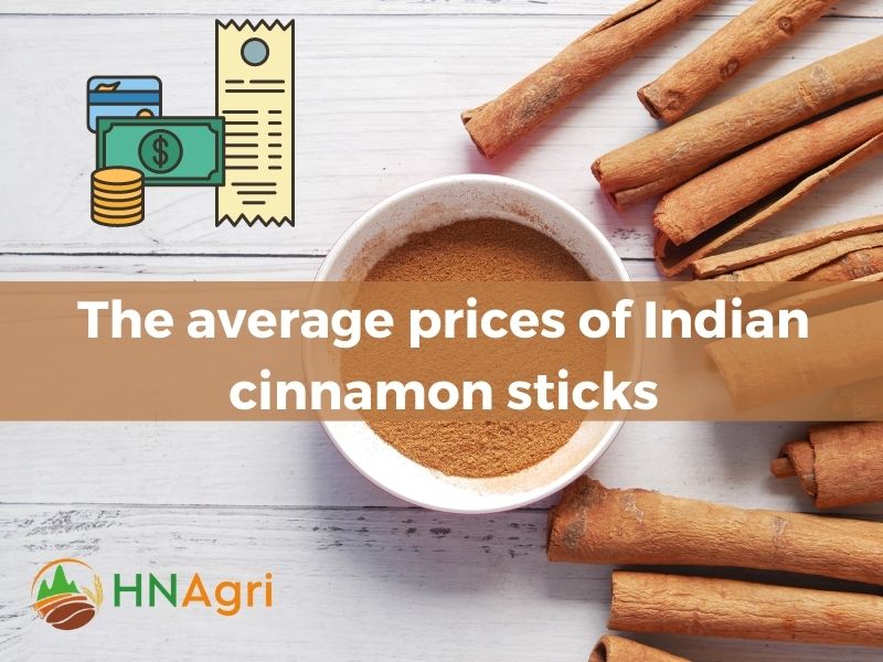 indian-cinnamon-sticks-aromatic-wonders-from-the-spice-capital-5