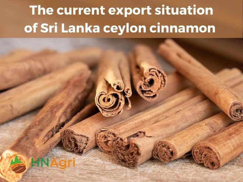 sri-lanka-ceylon-cinnamon-sourcing-the-finest-spice-4