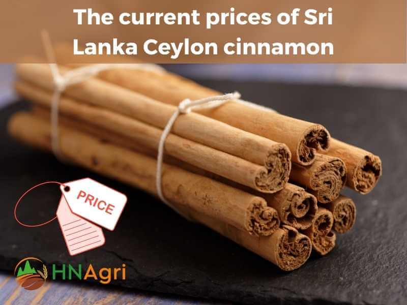 sri-lanka-ceylon-cinnamon-sourcing-the-finest-spice-6