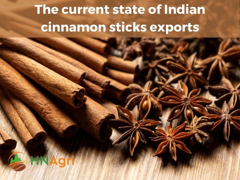 indian-cinnamon-sticks-aromatic-wonders-from-the-spice-capital-4