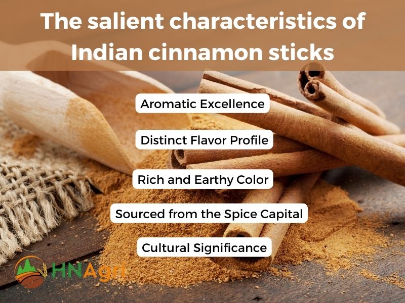 indian-cinnamon-sticks-aromatic-wonders-from-the-spice-capital-2
