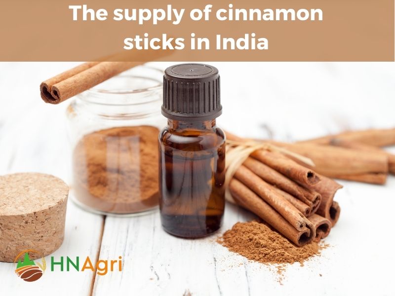 indian-cinnamon-sticks-aromatic-wonders-from-the-spice-capital-4