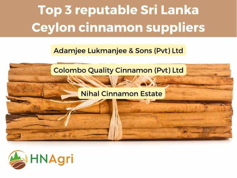 sri-lanka-ceylon-cinnamon-sourcing-the-finest-spice-7