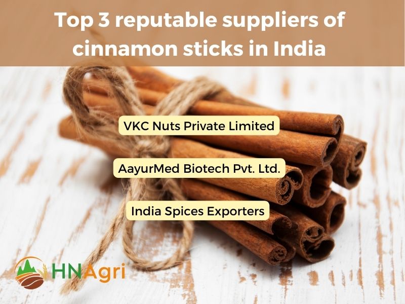 indian-cinnamon-sticks-aromatic-wonders-from-the-spice-capital-7