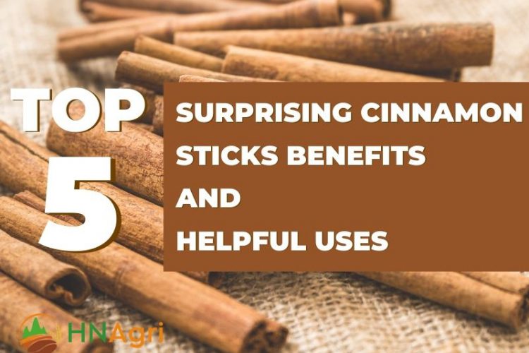 top-5-surprising-cinnamon-sticks-benefits-and-5-helpful-uses-1
