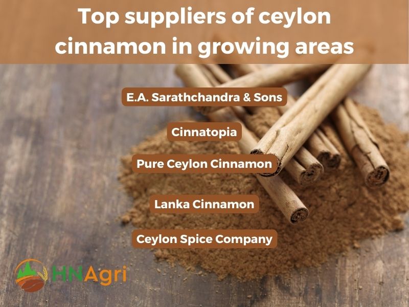 where-to-buy-ceylon-cinnamon-discover-the-best-suppliers-6
