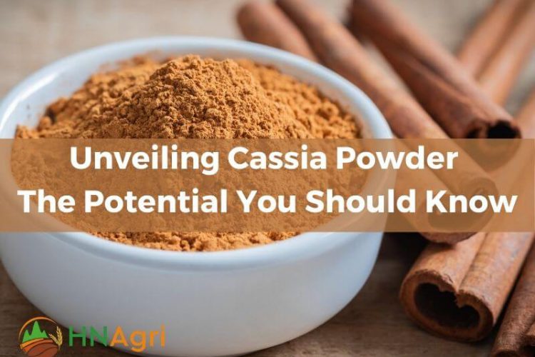 unveiling-cassia-powder-the-potential-you-should-know-1