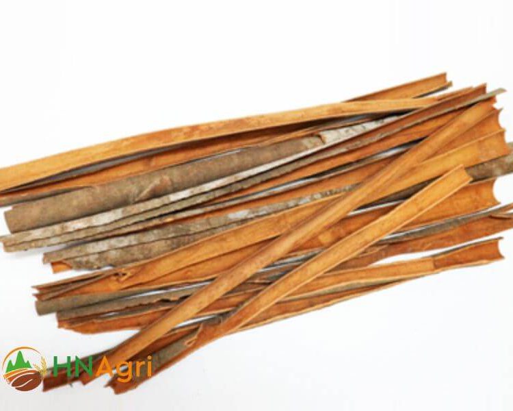 vietnamese-split-cinnamon-sc2-4-1