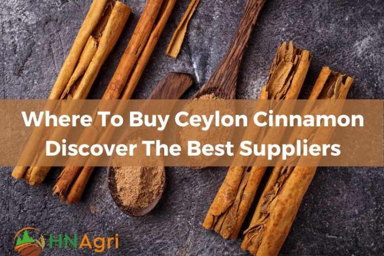 where-to-buy-ceylon-cinnamon-discover-the-best-suppliers-1