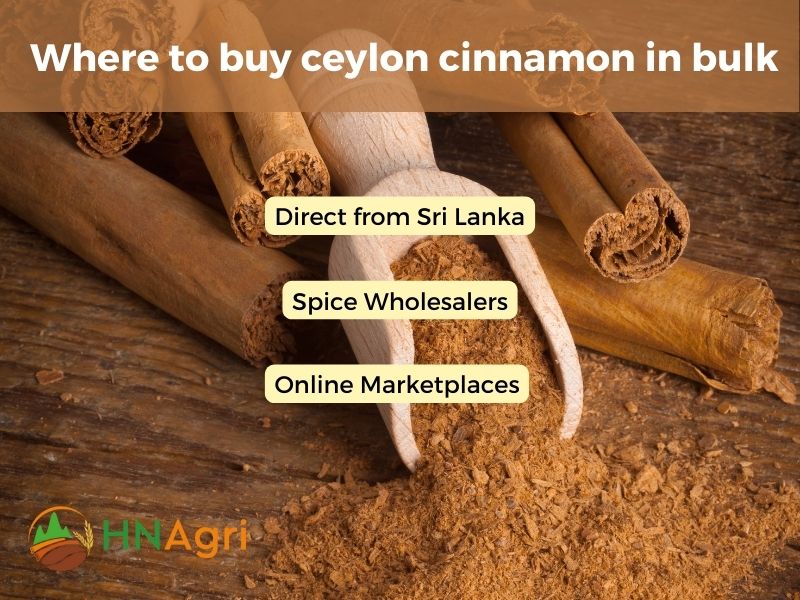 where-to-buy-ceylon-cinnamon-discover-the-best-suppliers-4