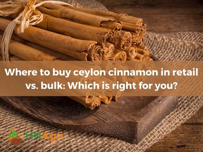 where-to-buy-ceylon-cinnamon-discover-the-best-suppliers-2