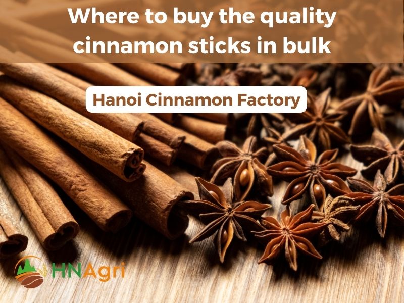 top-5-surprising-cinnamon-sticks-benefits-and-5-helpful-uses-8