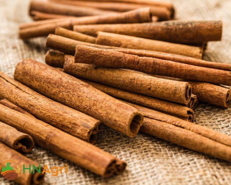 vietnamese-cinnamon-stick-4-vcs42-1