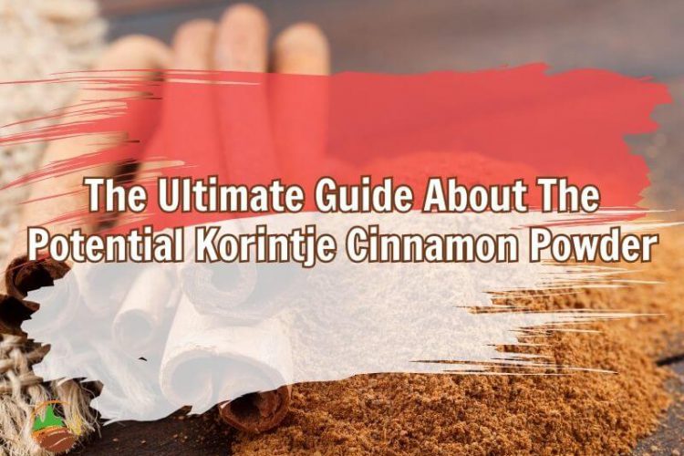 the-ultimate-guide-about-the-potential-korintje-cinnamon-powder