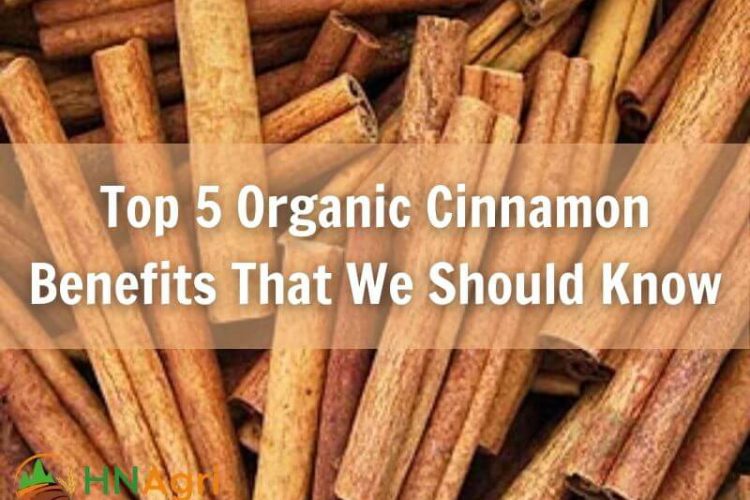 top-5-organic-cinnamon-benefits-that-we-should-know-1