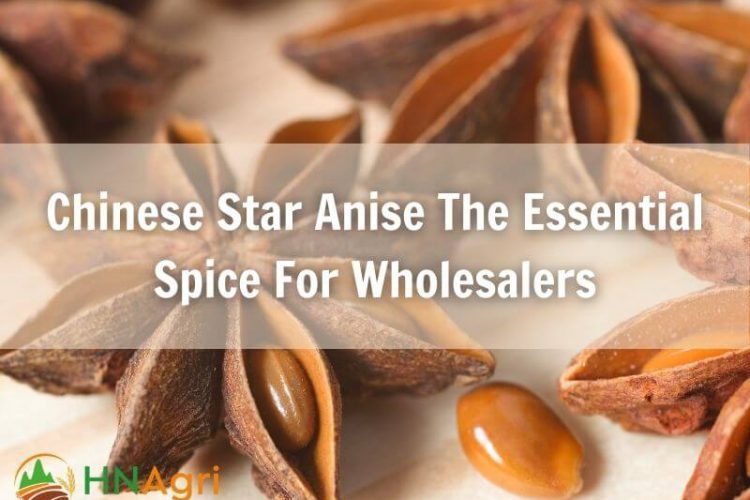 chinese-star-anise-the-essential-spice-for-wholesalers-1