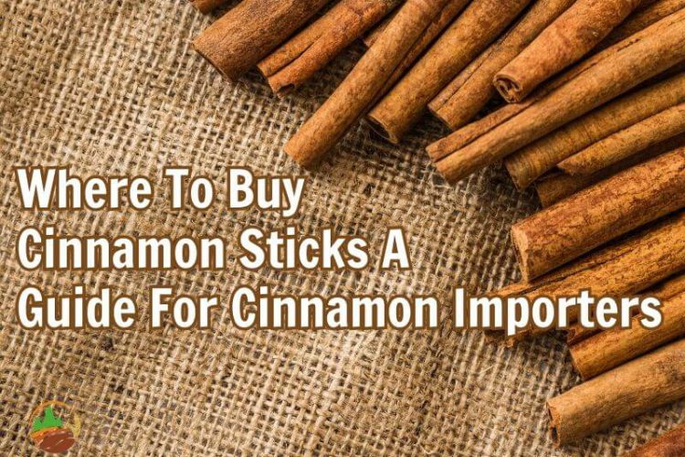 where-to-buy-cinnamon-sticks-a-guide-for-cinnamon-importers