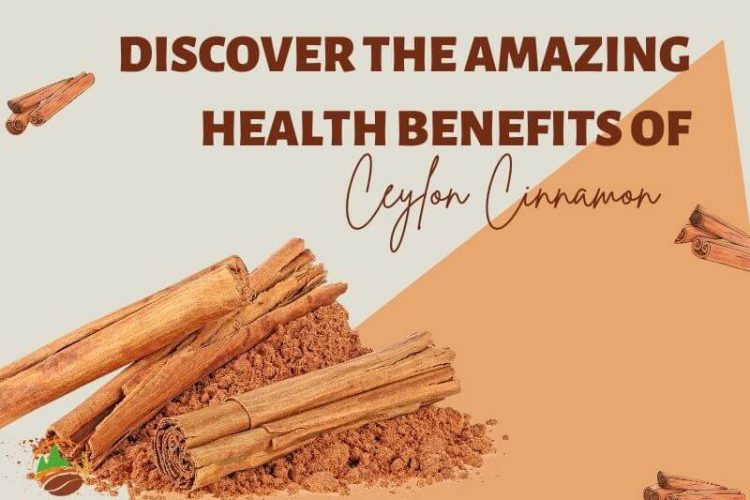 discover-the-amazing-health-benefits-of-ceylon-cinnamon