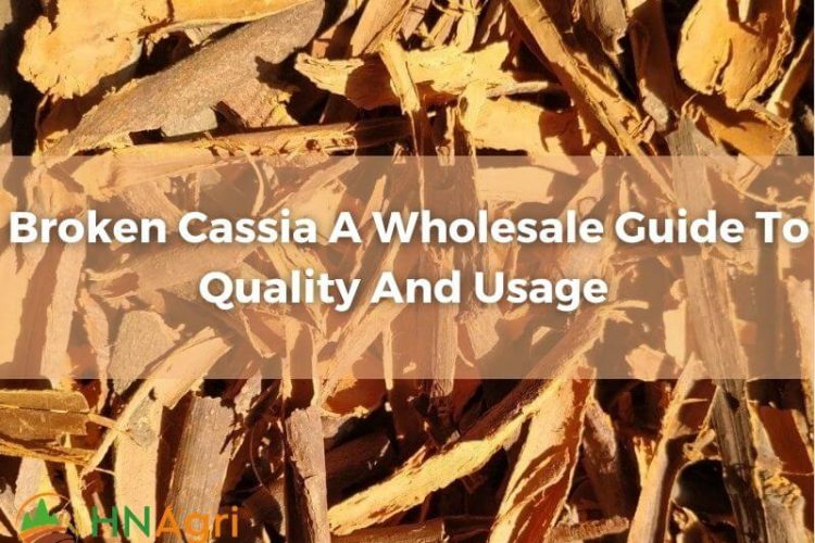 broken-cassia-a-wholesale-guide-to-quality-and-usage-1