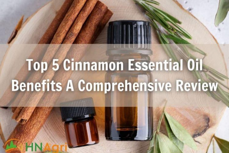 top-5-cinnamon-essential-oil-benefits-a-comprehensive-review-1