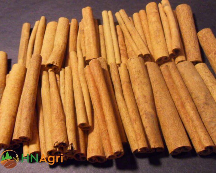 vietnamese-tube-cinnamon-5-tc25-1